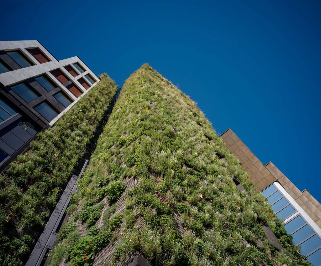 Den 28 meter høye planteveggen i Stenersgata 1 skal kunne være hjem for både fugler og insekter