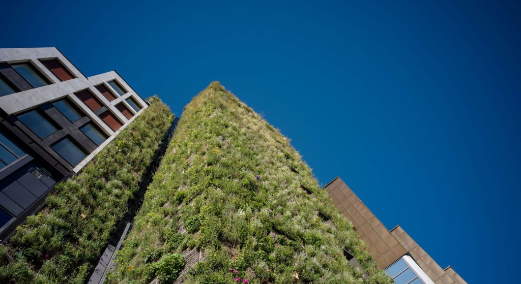 Den 28 meter høye planteveggen i Stenersgata 1 skal kunne være hjem for både fugler og insekter